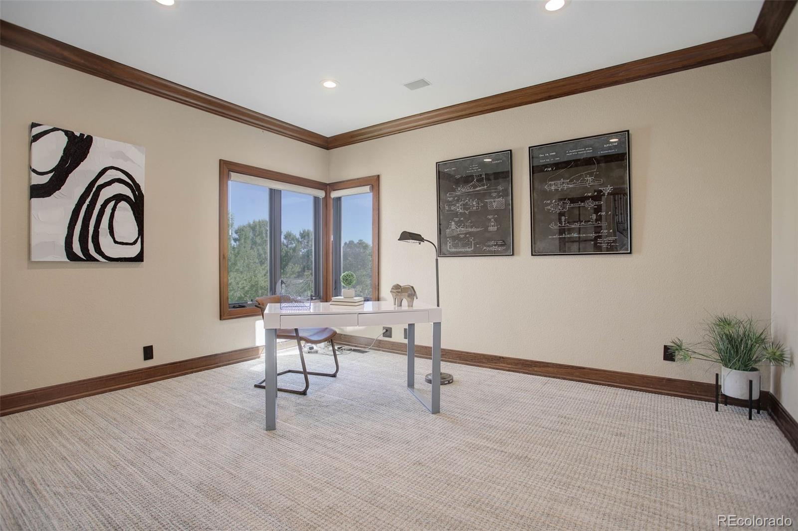 MLS Image #10 for 1071  phipps place,highlands ranch, Colorado