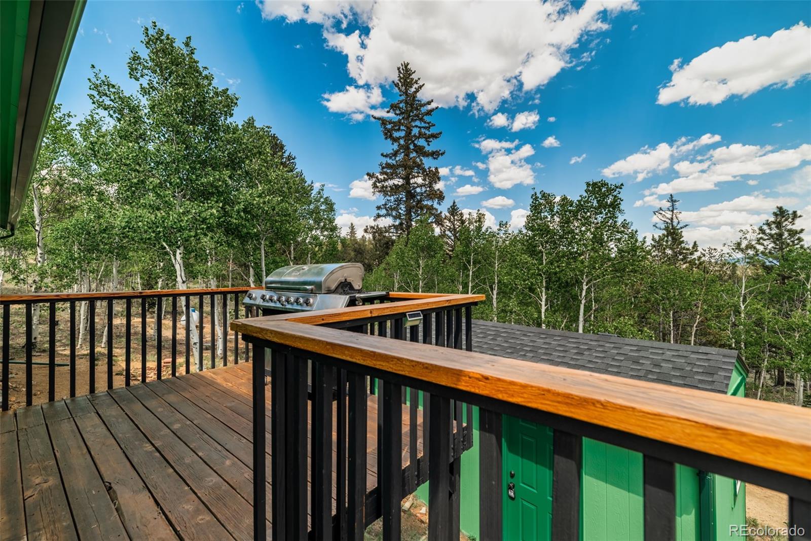 MLS Image #11 for 443  crooked rock path,jefferson, Colorado