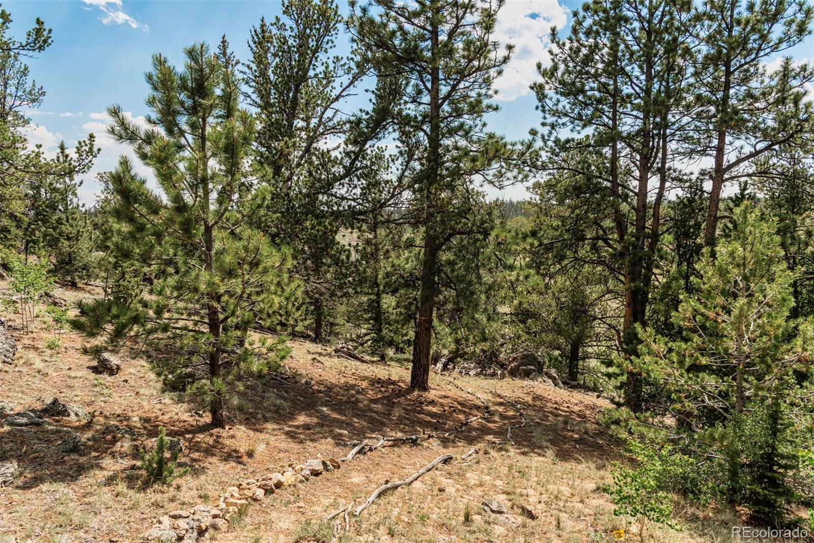 MLS Image #47 for 443  crooked rock path,jefferson, Colorado