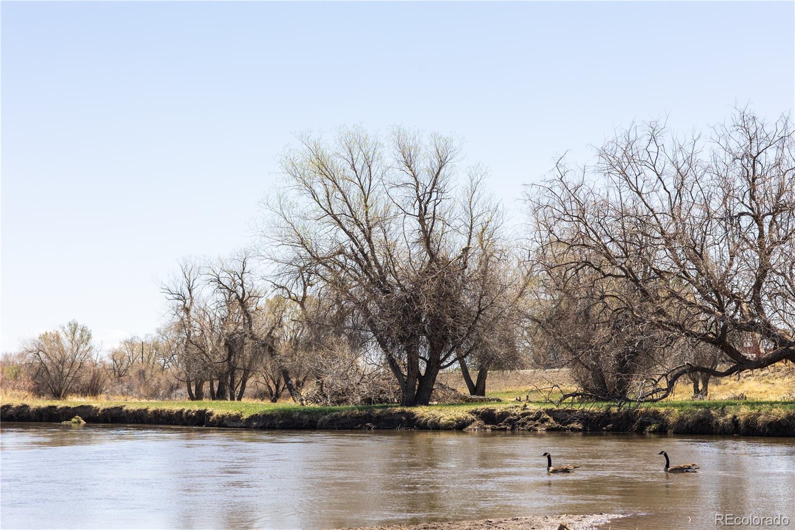 MLS Image #0 for 14  river drive,alamosa, Colorado