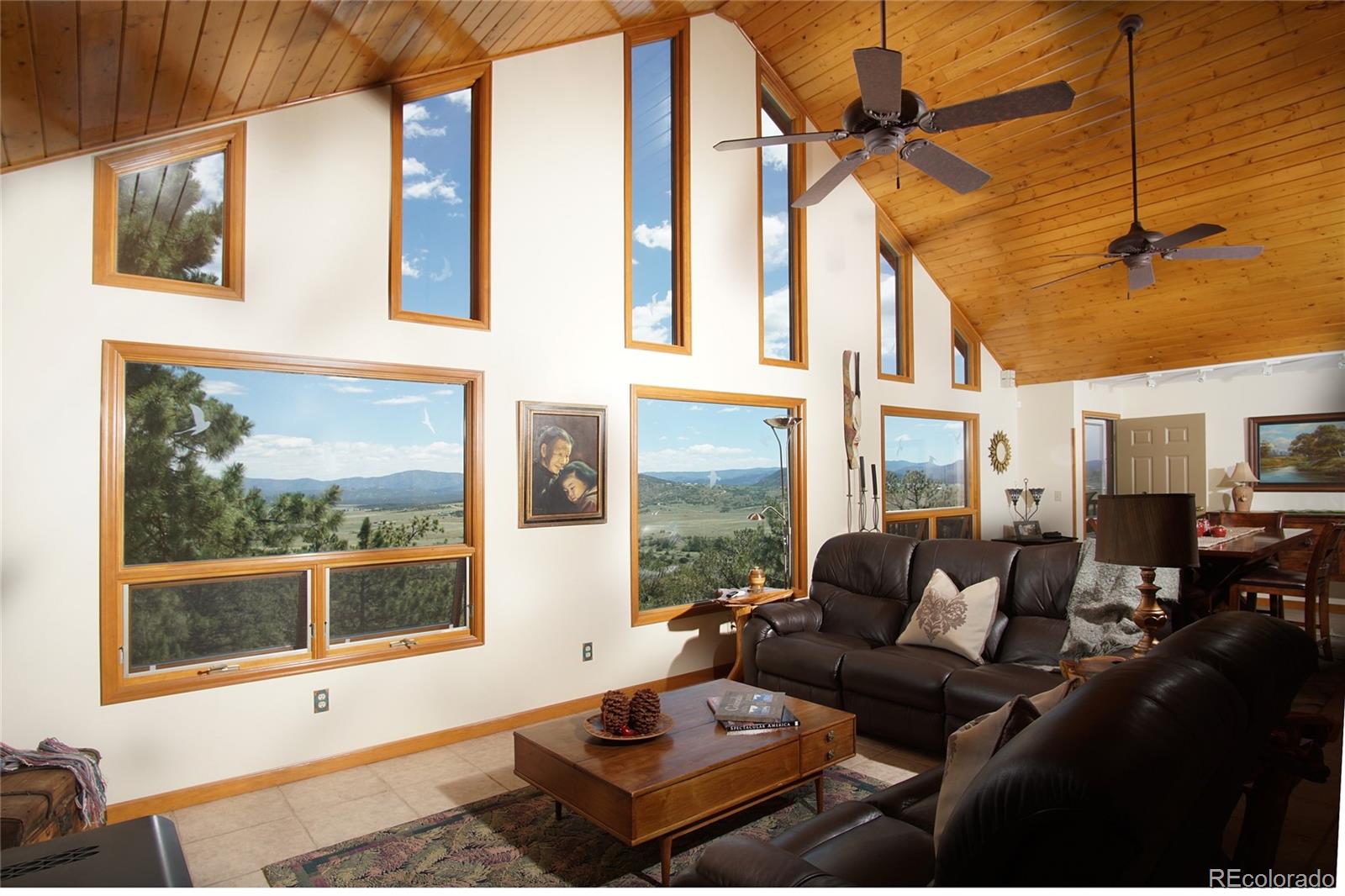 MLS Image #2 for 1301  pheasant loop,westcliffe, Colorado