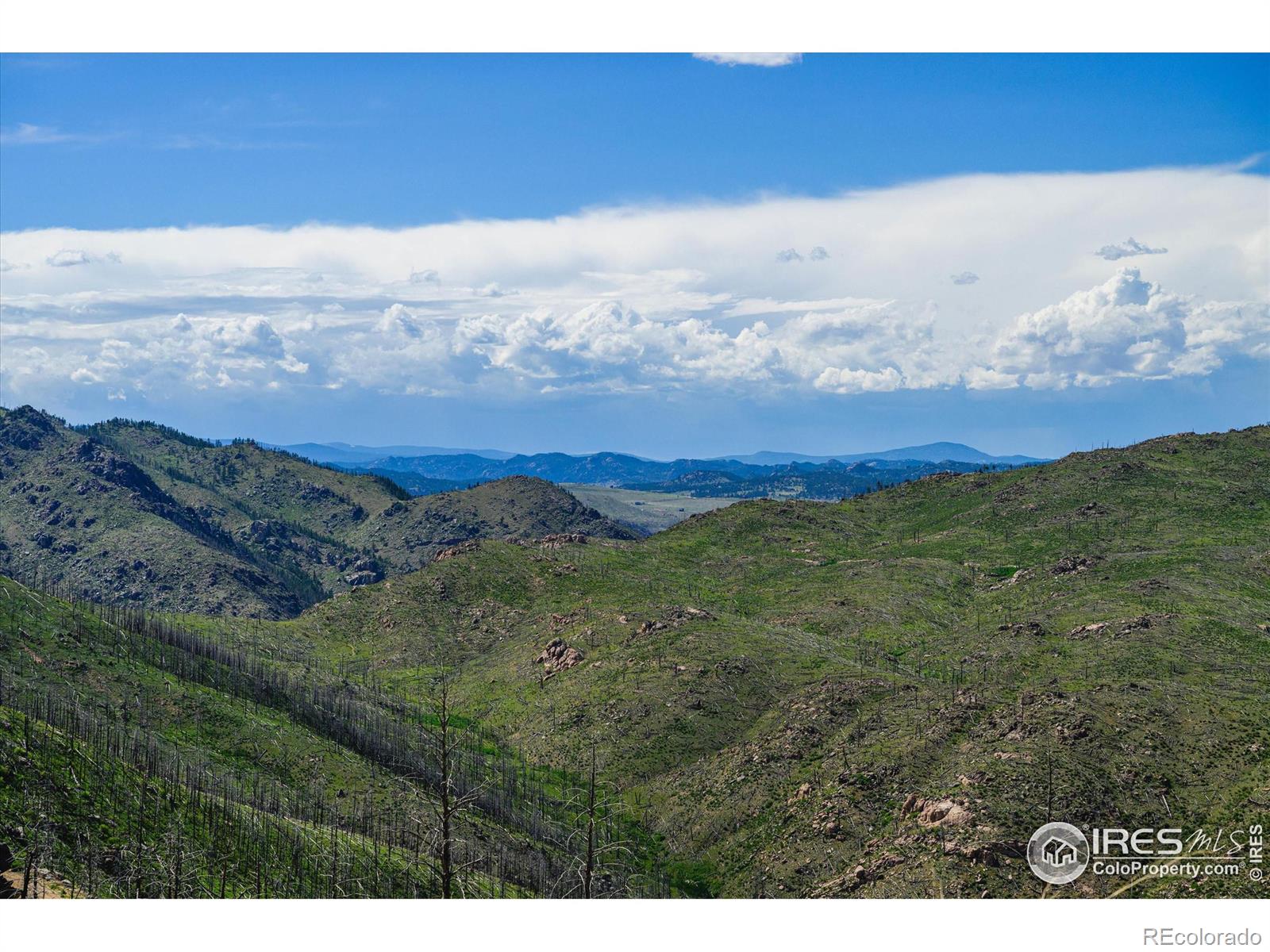 MLS Image #1 for 151  stone cutter road,bellvue, Colorado