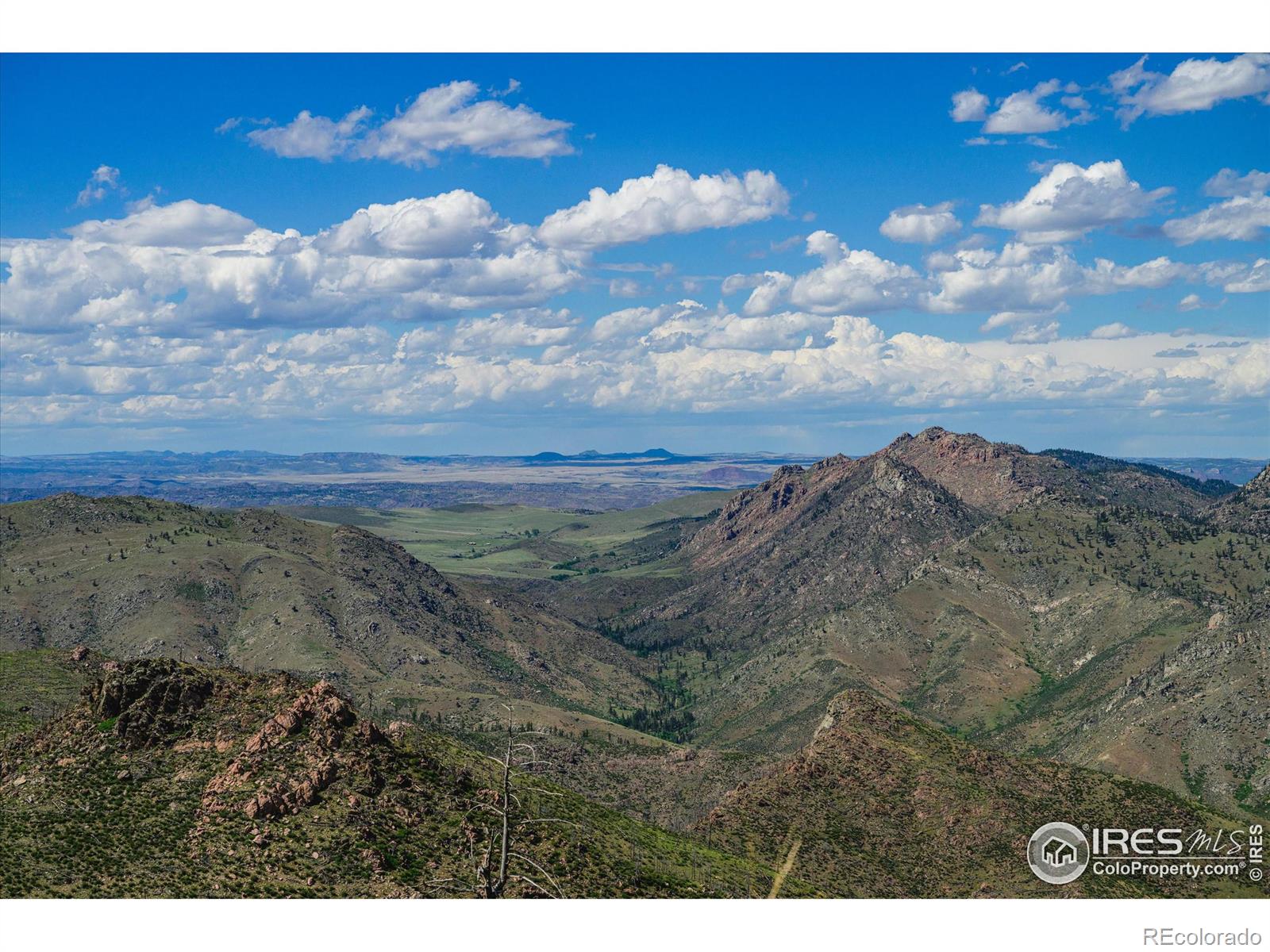 MLS Image #29 for 151  stone cutter road,bellvue, Colorado