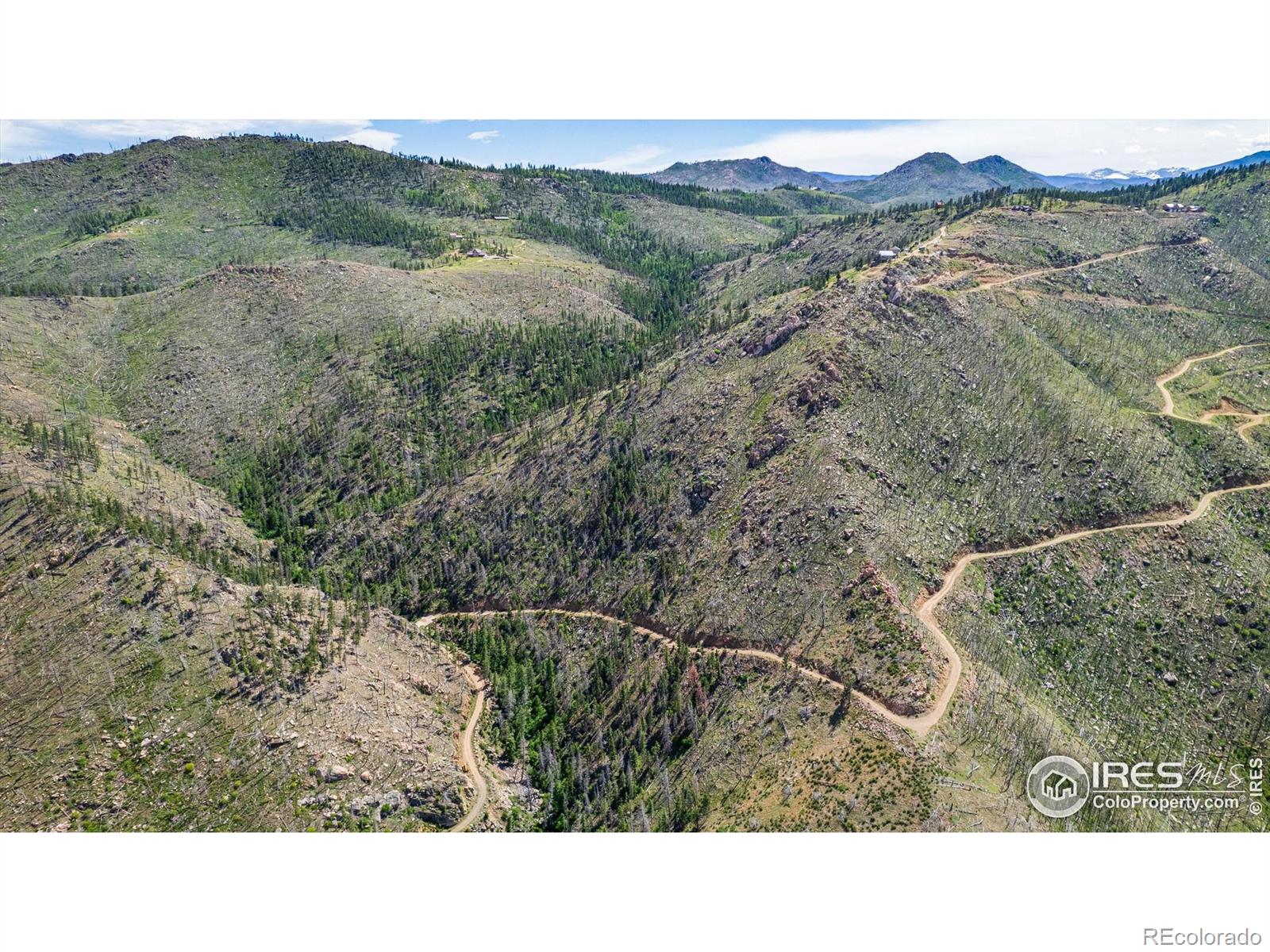 MLS Image #32 for 151  stone cutter road,bellvue, Colorado