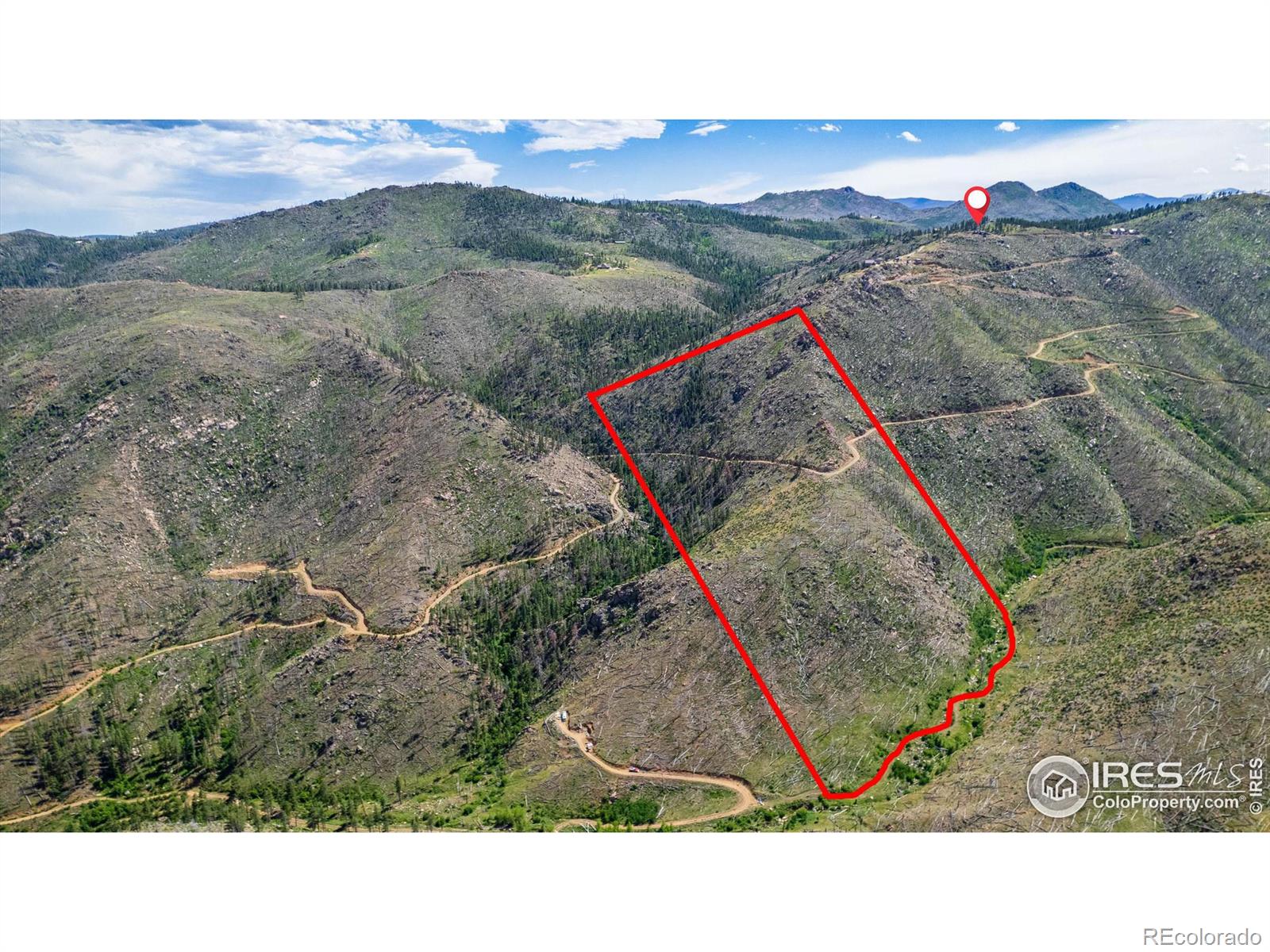 MLS Image #33 for 151  stone cutter road,bellvue, Colorado