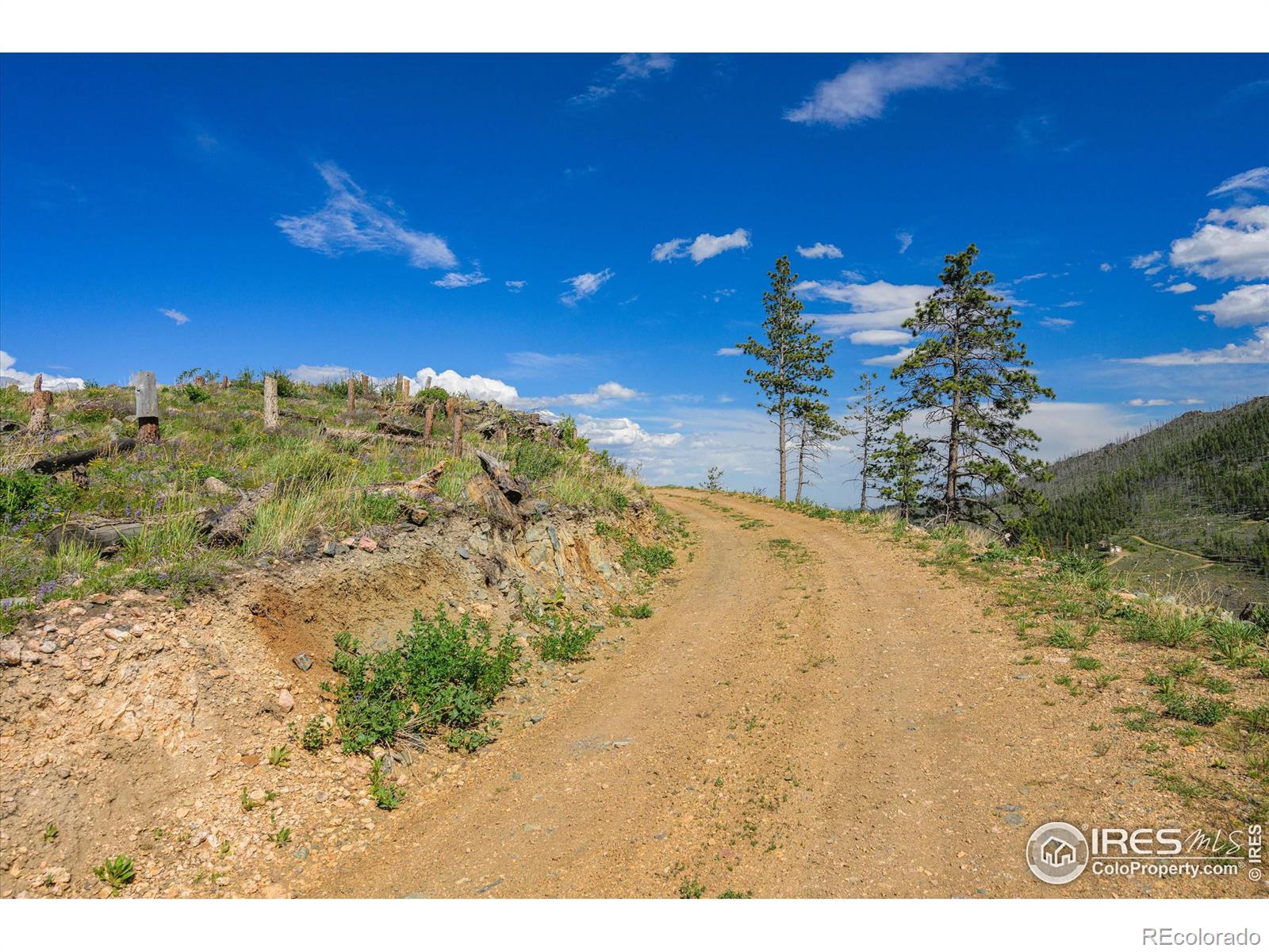 MLS Image #34 for 151  stone cutter road,bellvue, Colorado