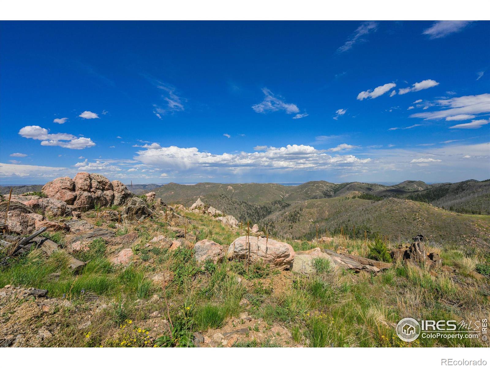 MLS Image #8 for 151  stone cutter road,bellvue, Colorado