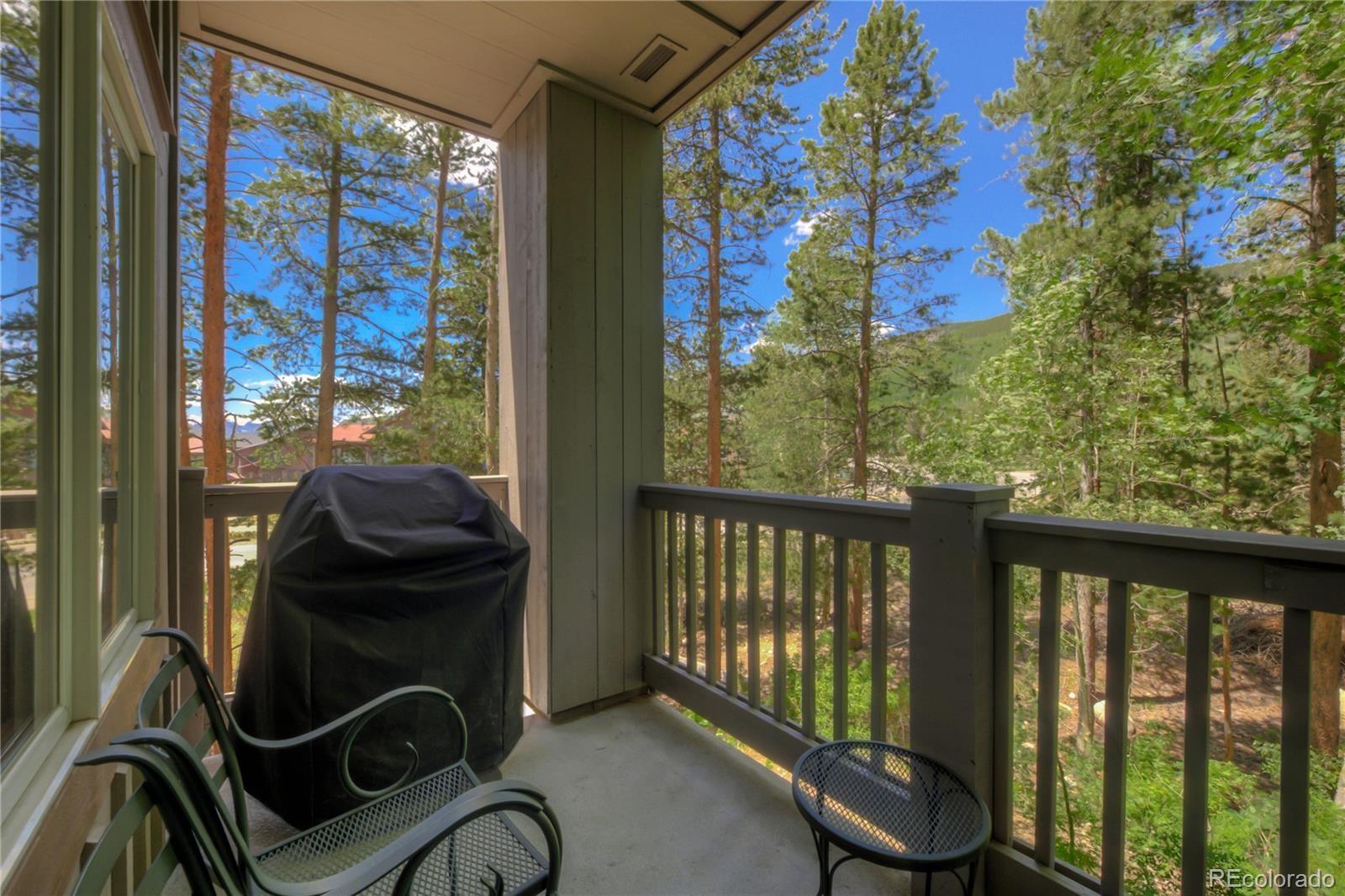 MLS Image #15 for 135  dercum drive,dillon, Colorado