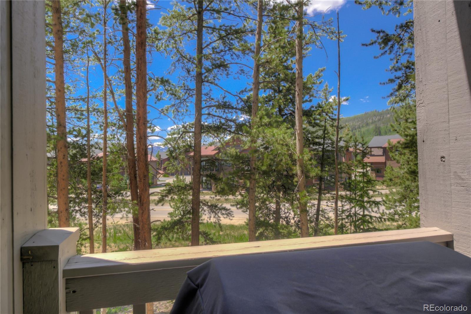 MLS Image #16 for 135  dercum drive,dillon, Colorado