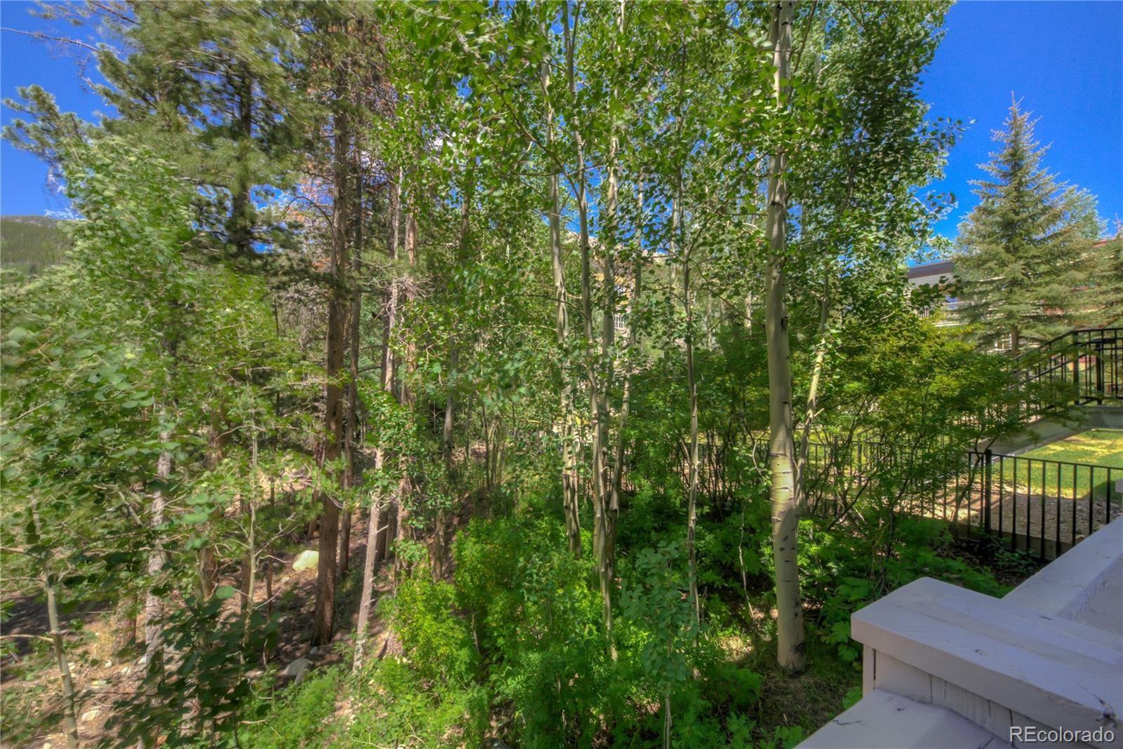 MLS Image #20 for 135  dercum drive,dillon, Colorado