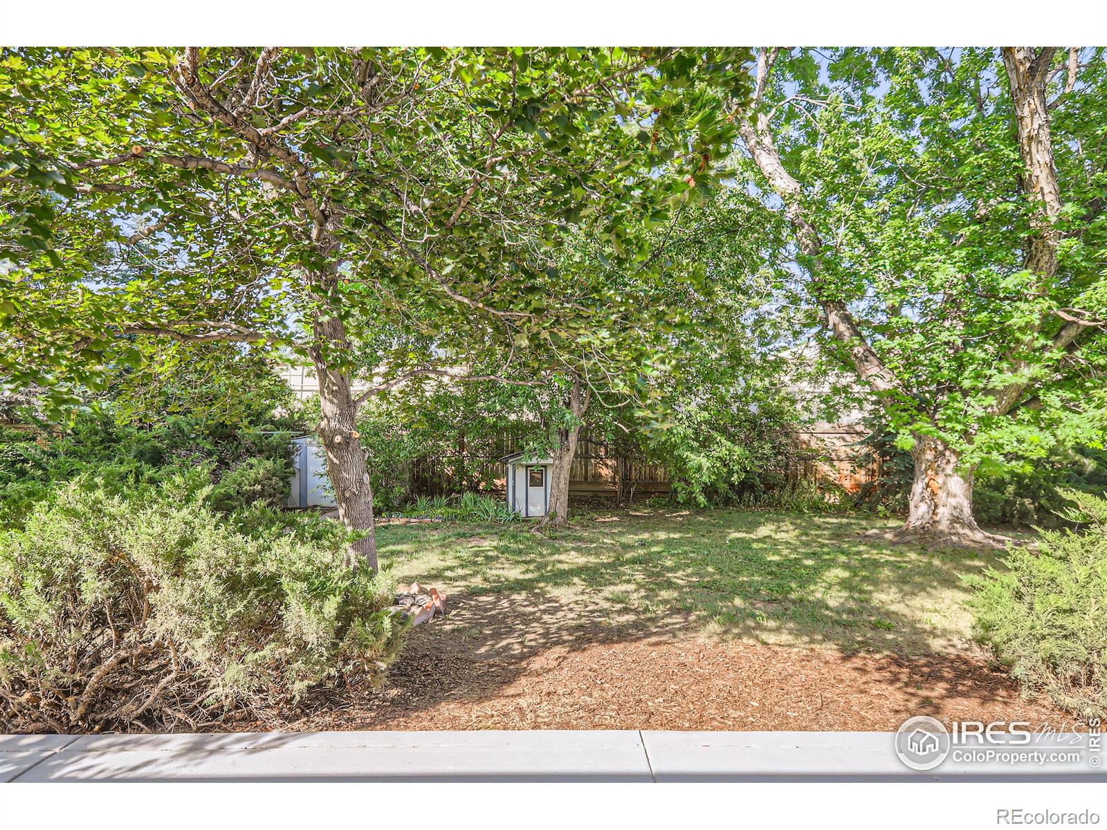 MLS Image #17 for 1036  montview road,fort collins, Colorado