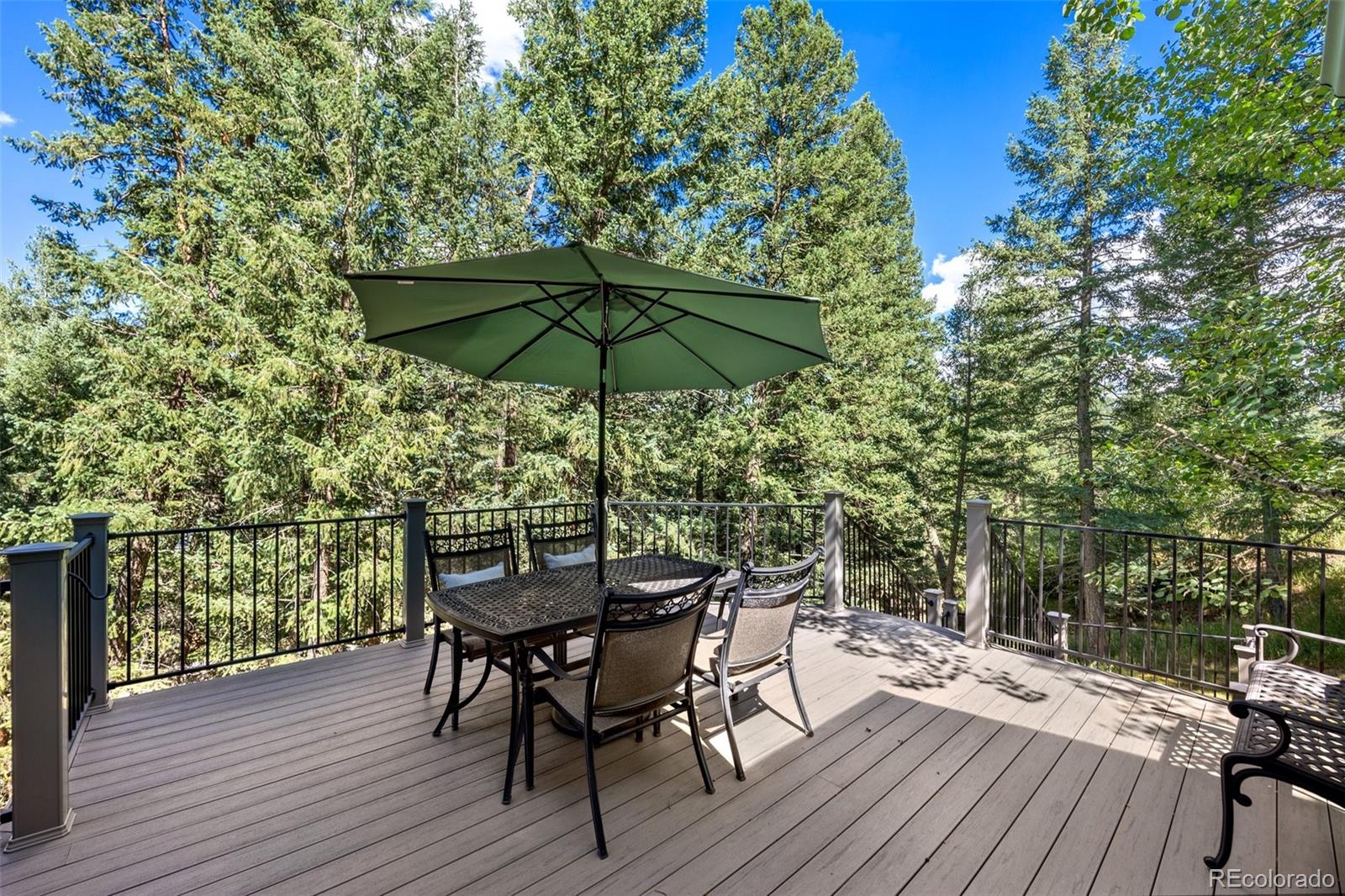 MLS Image #3 for 266  cottonwood drive,evergreen, Colorado