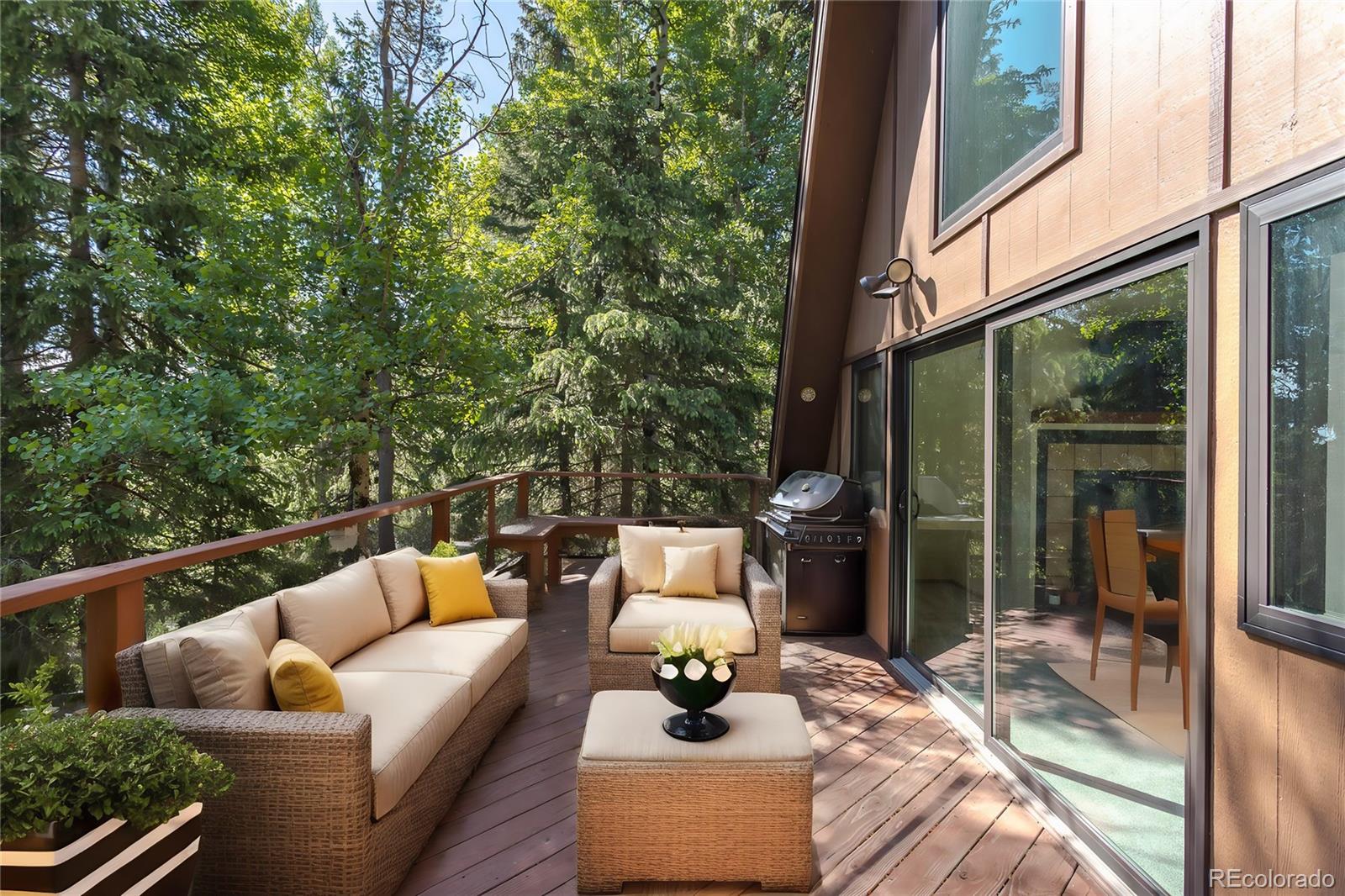 MLS Image #5 for 100  aspen lane,evergreen, Colorado