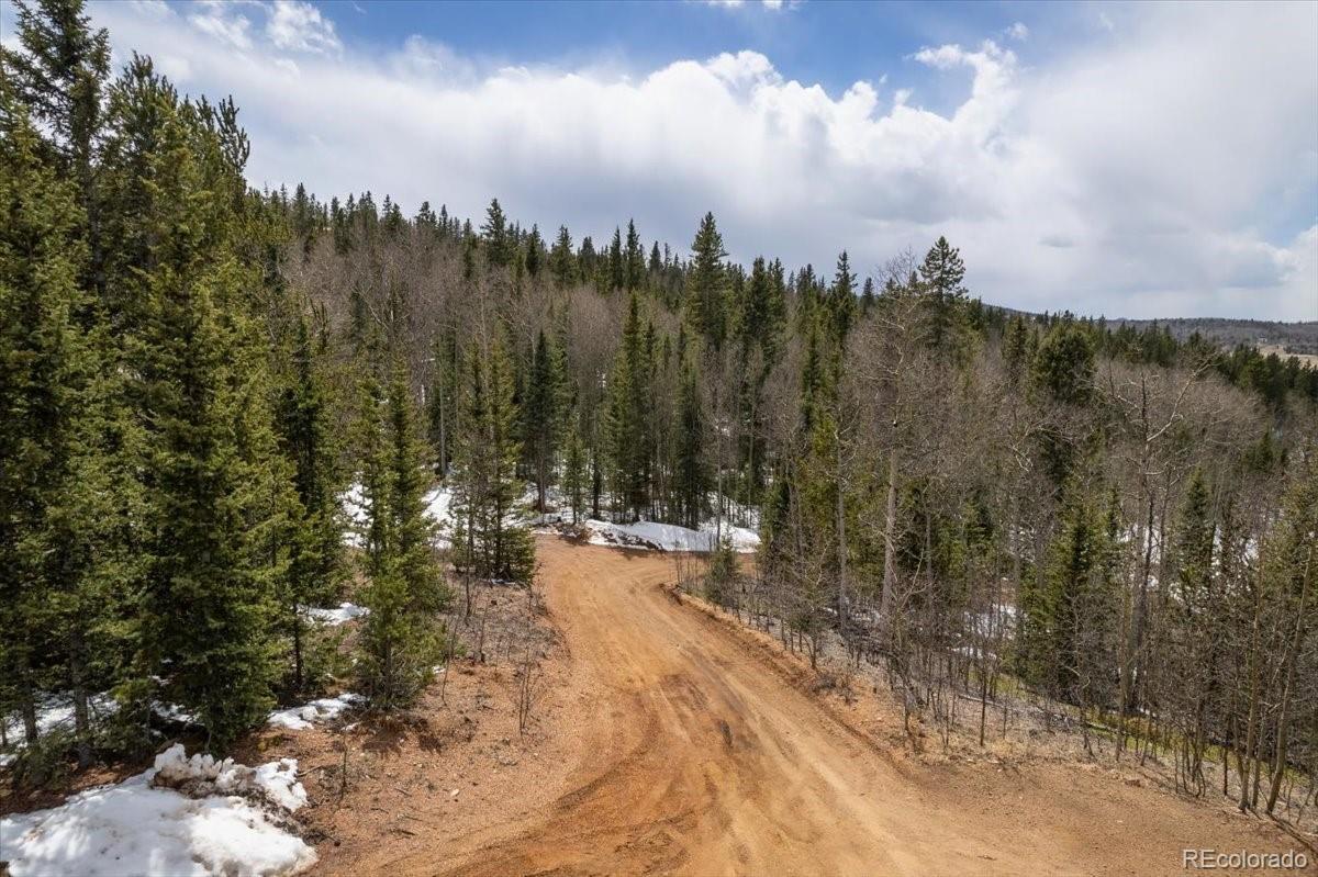 MLS Image #6 for 2700  county road 81 ,cripple creek, Colorado