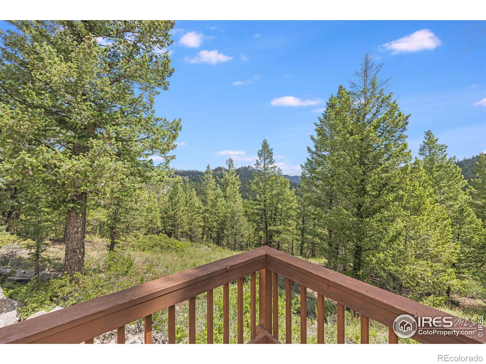 MLS Image #28 for 445  lone pine creek drive,red feather lakes, Colorado