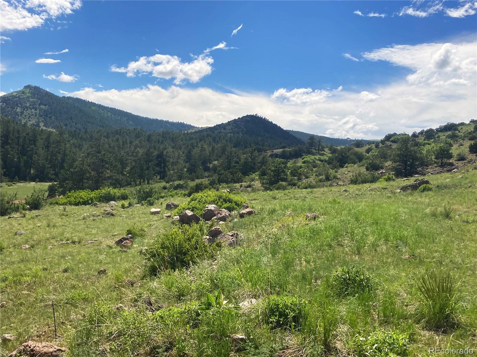 MLS Image #44 for 6101  tallahassee trail ,canon city, Colorado