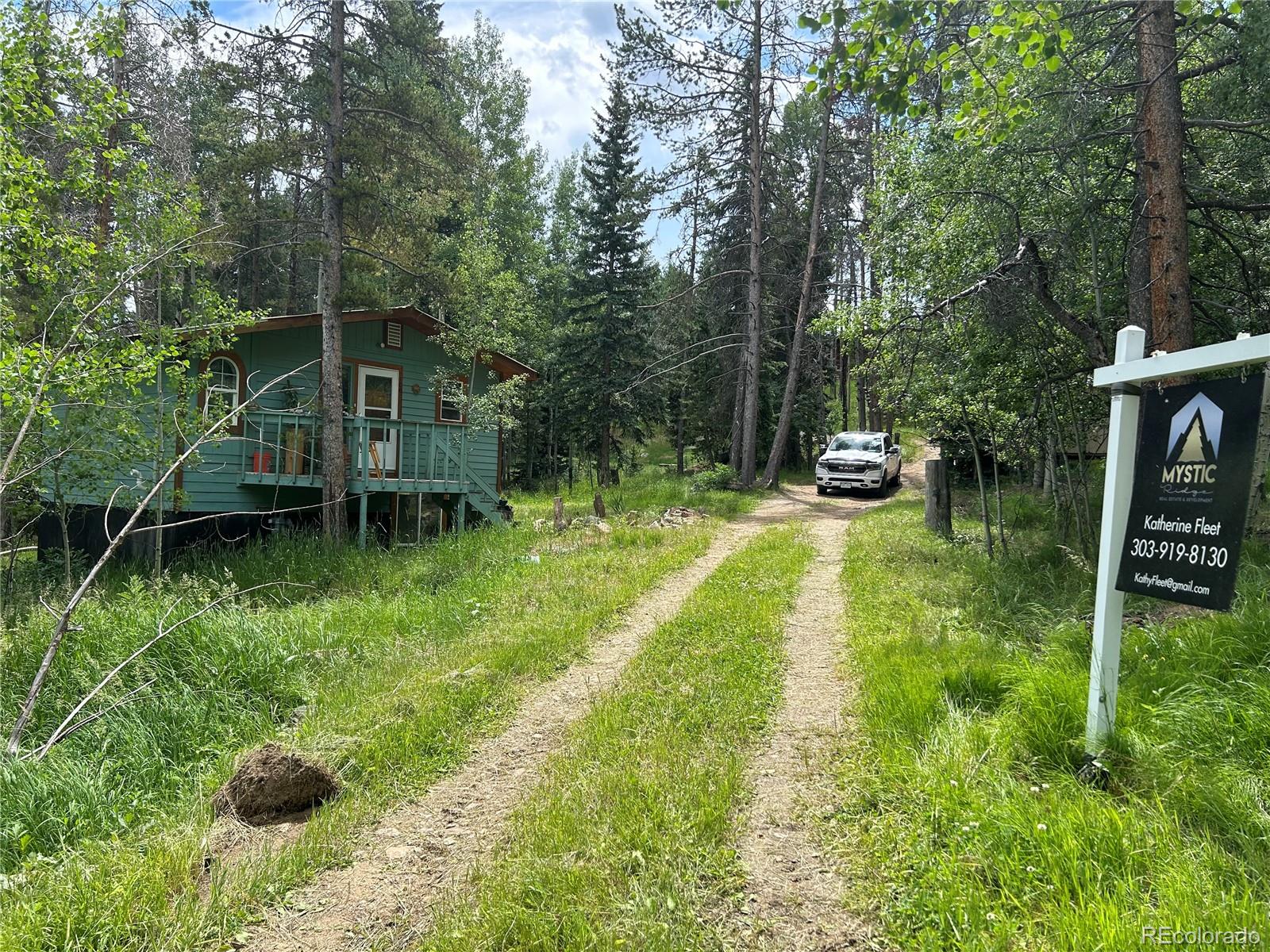 MLS Image #10 for 106  brook road,evergreen, Colorado