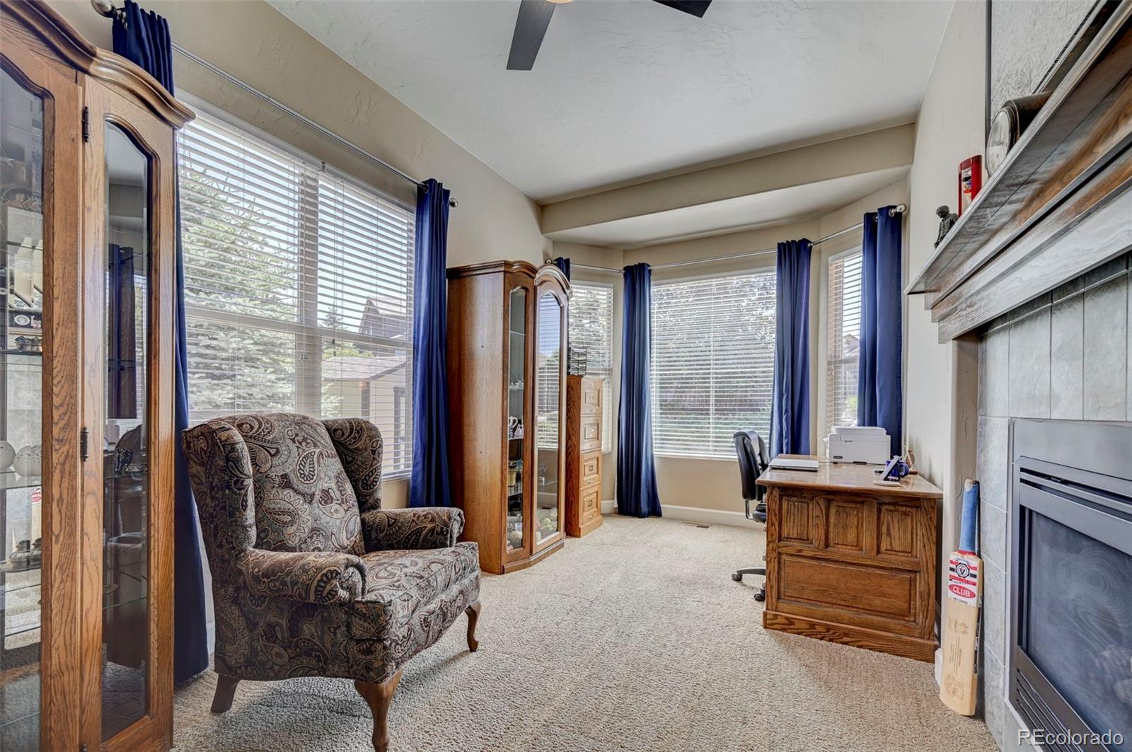 MLS Image #14 for 6719  mustang rim drive,colorado springs, Colorado