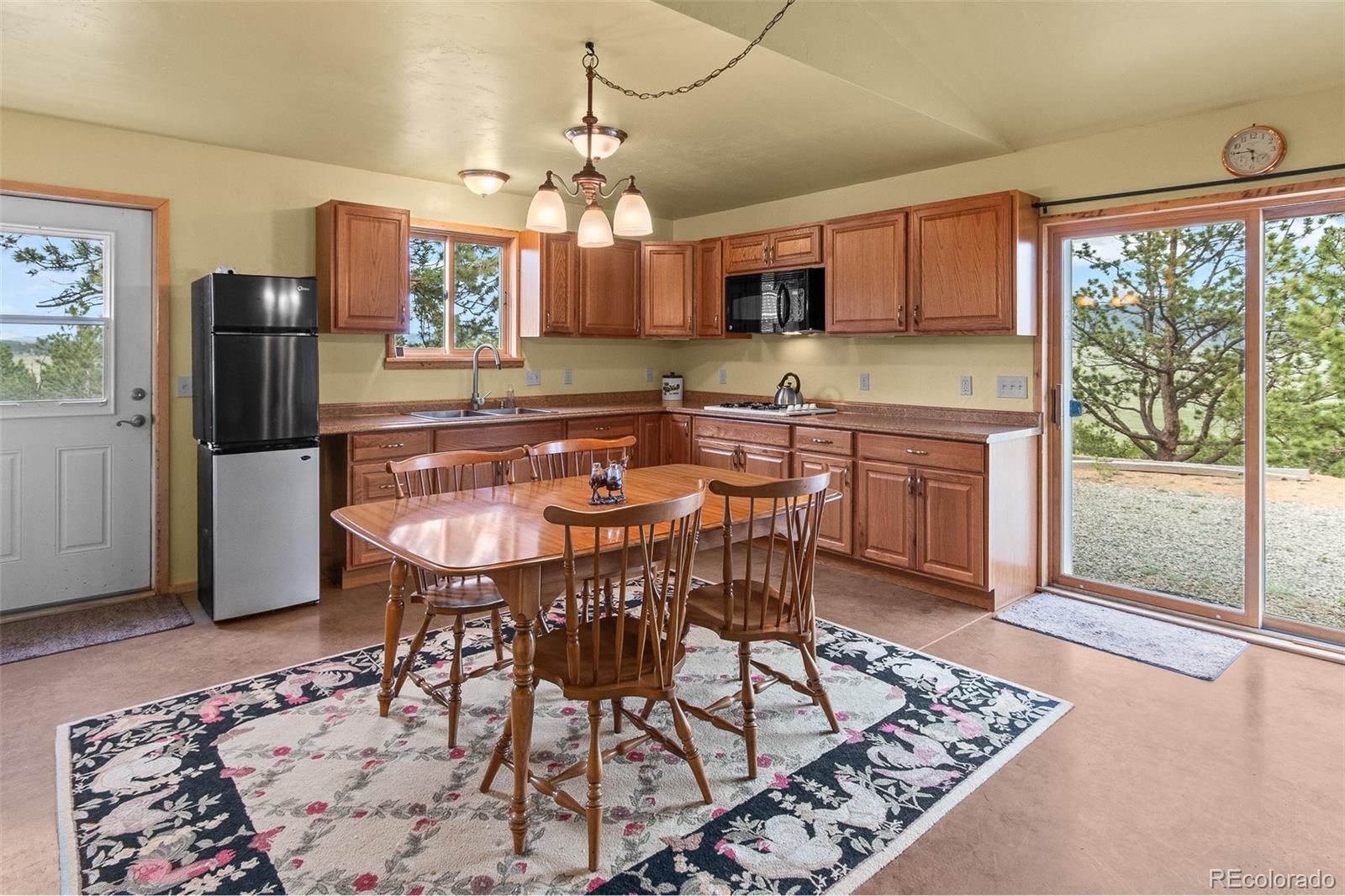 MLS Image #13 for 456  oxford drive,hartsel, Colorado