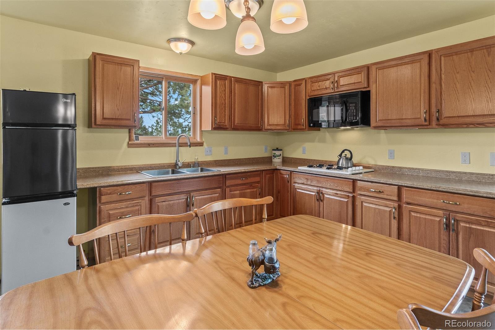 MLS Image #14 for 456  oxford drive,hartsel, Colorado