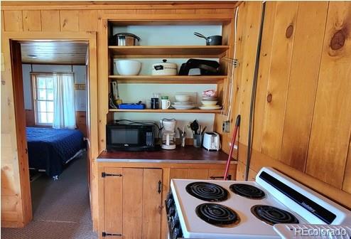 MLS Image #10 for 23442  fdr 250 cabin #5/6 ,antonito, Colorado