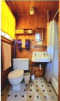 MLS Image #13 for 23442  fdr 250 cabin #5/6 ,antonito, Colorado