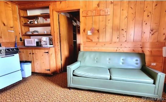 MLS Image #16 for 23442  fdr 250 cabin #5/6 ,antonito, Colorado