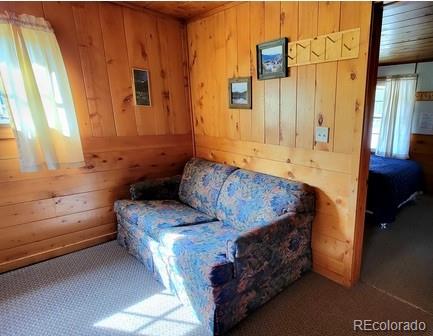 MLS Image #6 for 23442  fdr 250 cabin #5/6 ,antonito, Colorado