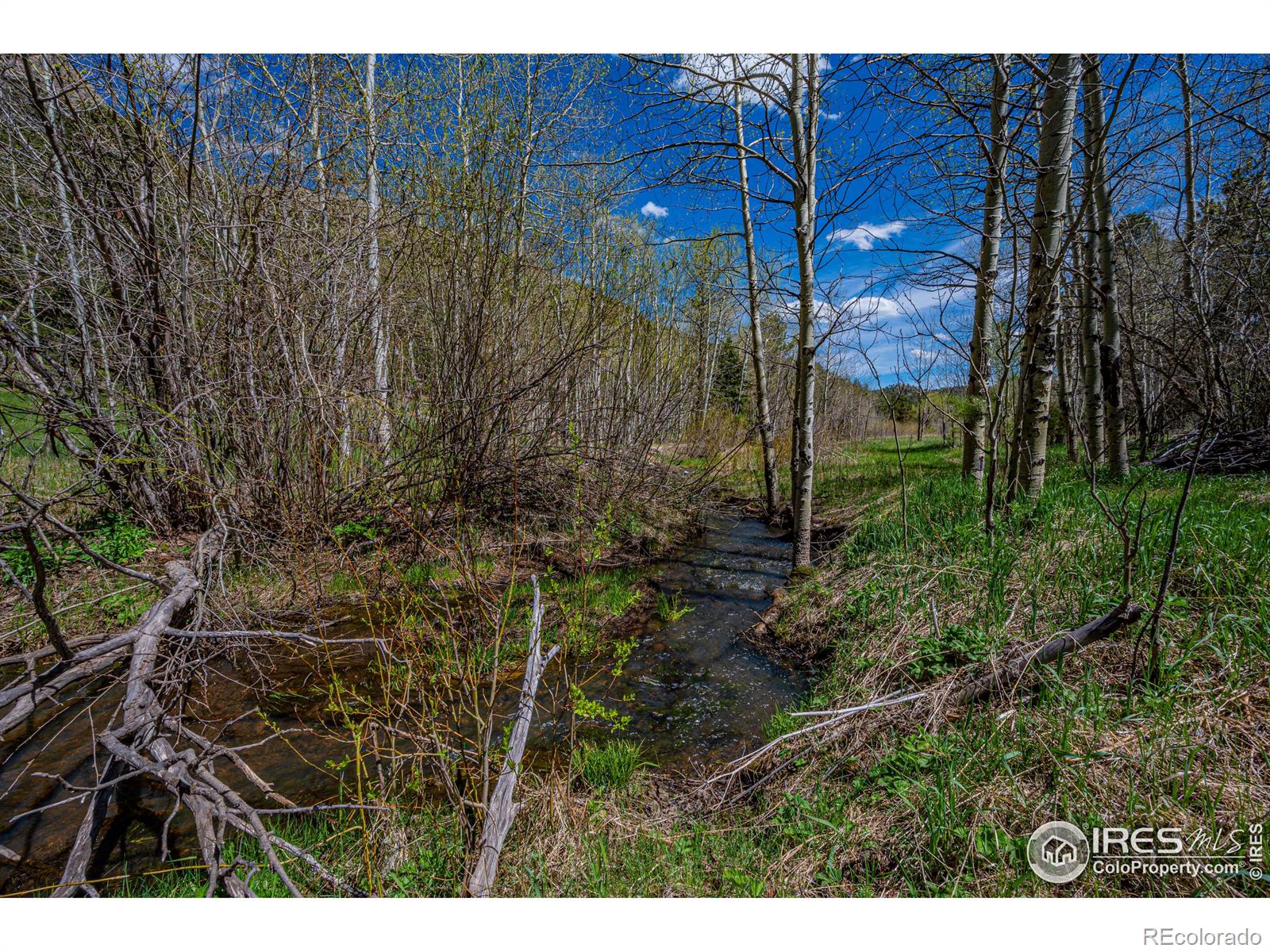 MLS Image #31 for 332  cedar drive,lyons, Colorado