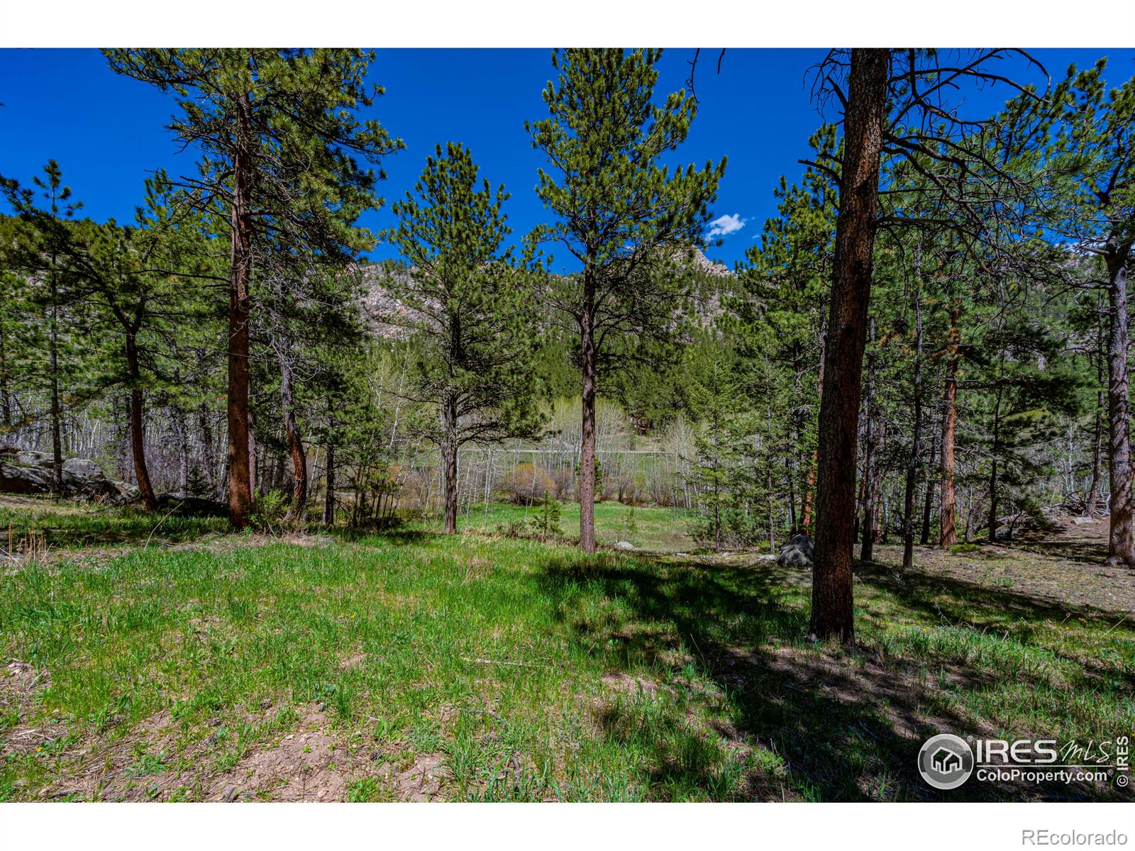 MLS Image #34 for 332  cedar drive,lyons, Colorado