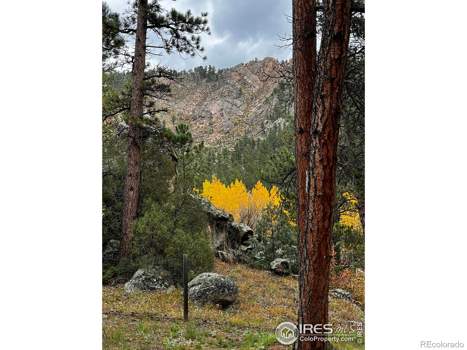 MLS Image #35 for 332  cedar drive,lyons, Colorado