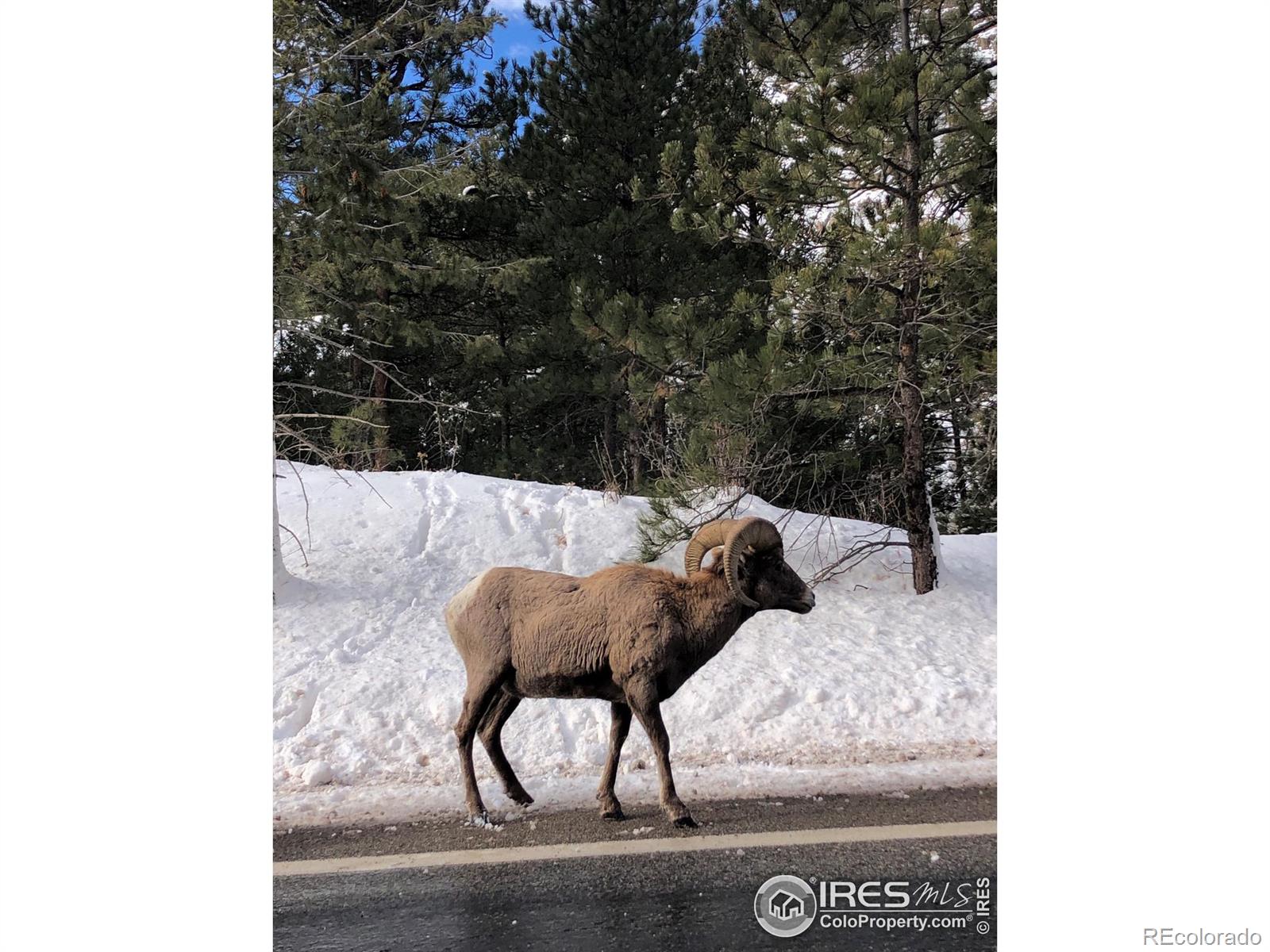 MLS Image #38 for 332  cedar drive,lyons, Colorado