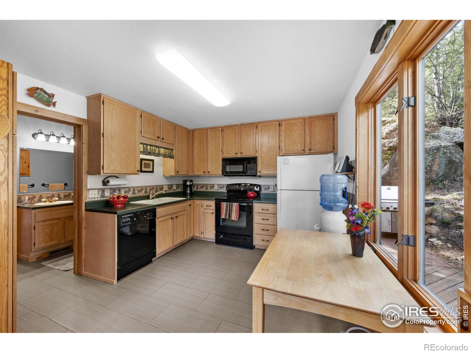 MLS Image #13 for 743  hickory drive,lyons, Colorado