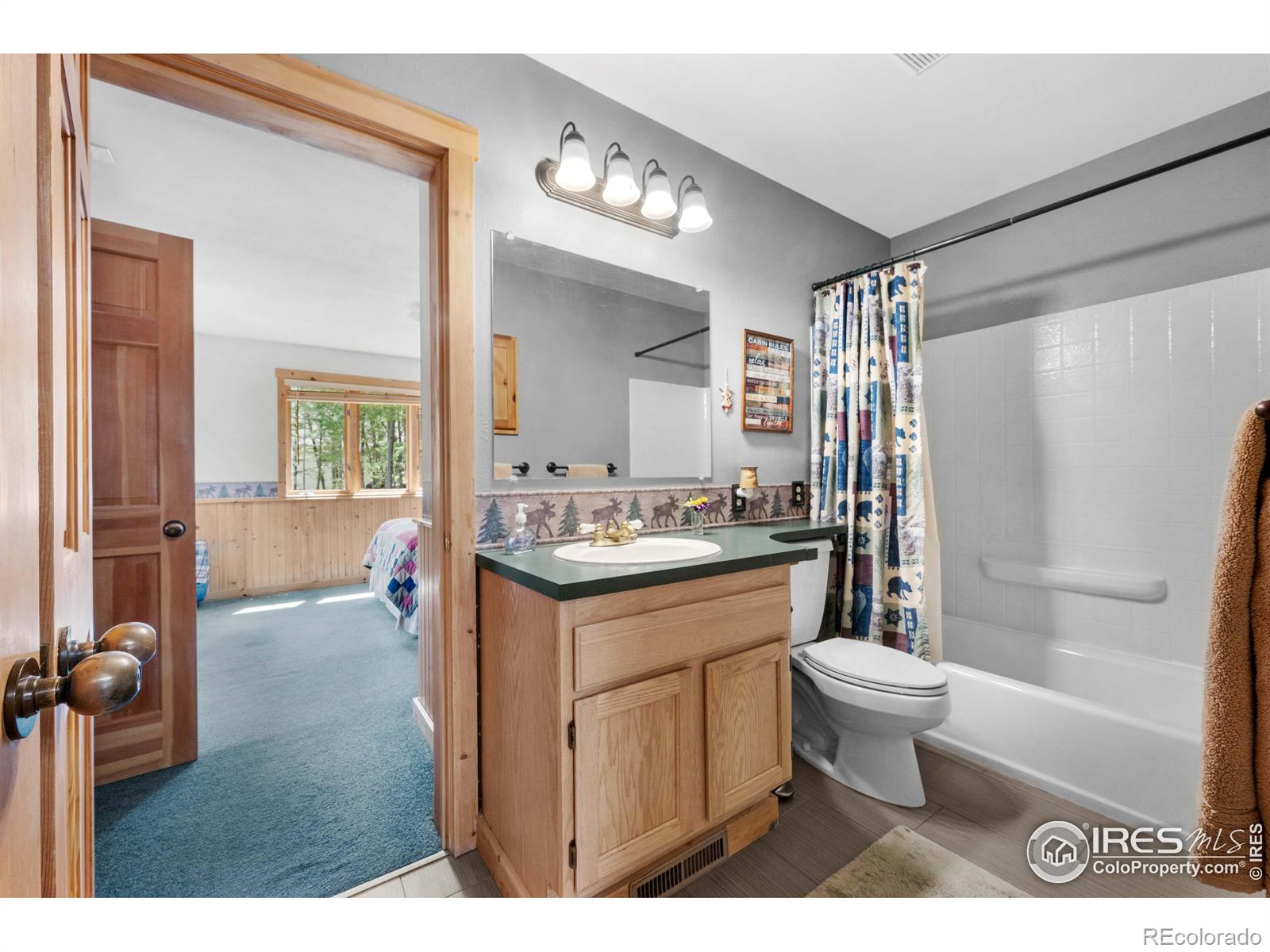 MLS Image #17 for 743  hickory drive,lyons, Colorado