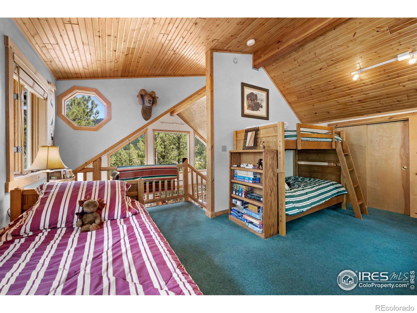 MLS Image #26 for 743  hickory drive,lyons, Colorado