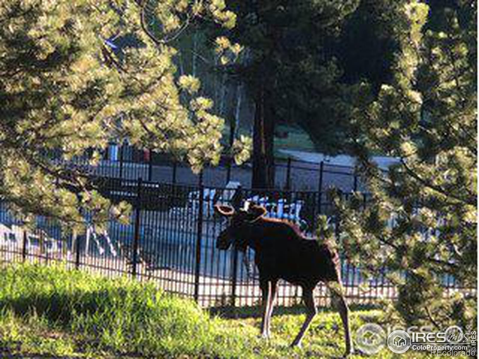 MLS Image #36 for 743  hickory drive,lyons, Colorado