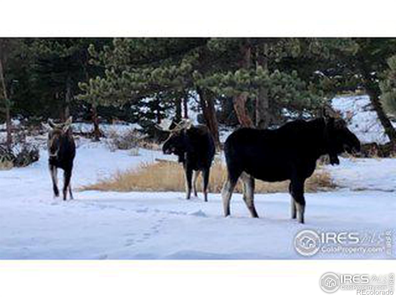 MLS Image #37 for 743  hickory drive,lyons, Colorado