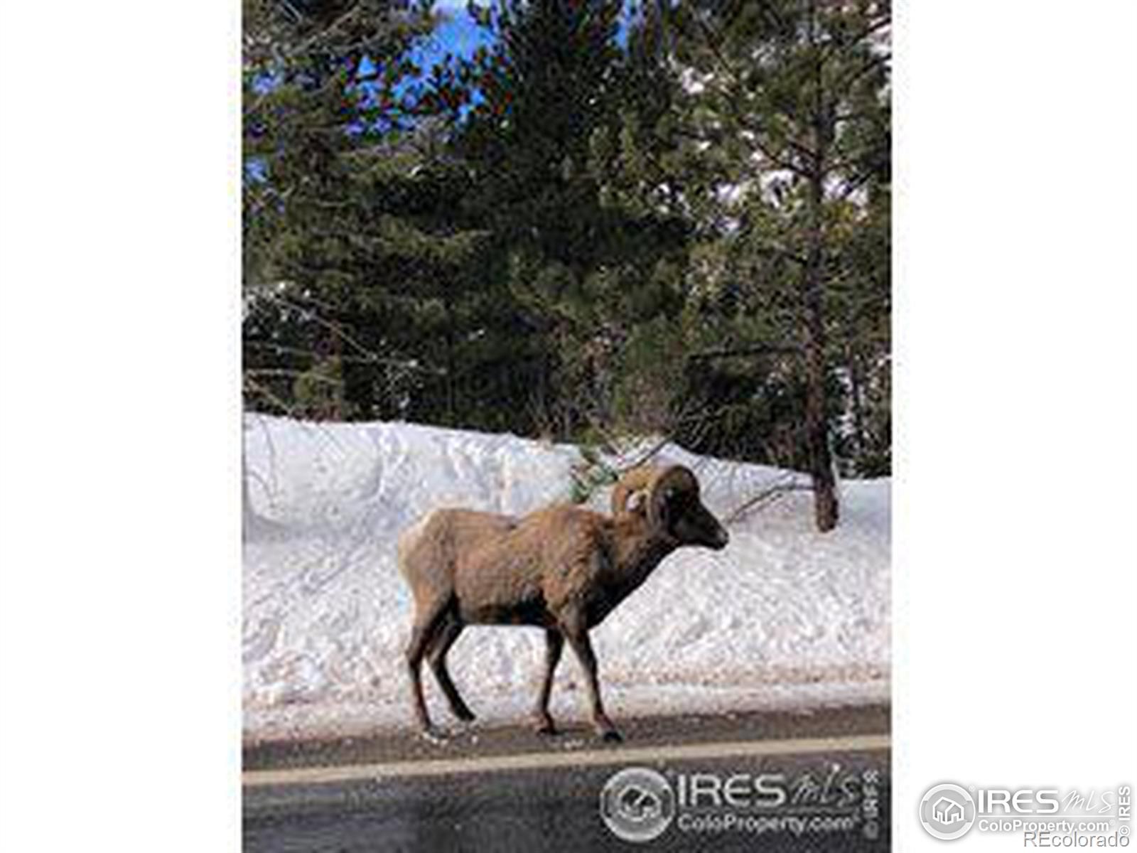 MLS Image #39 for 743  hickory drive,lyons, Colorado