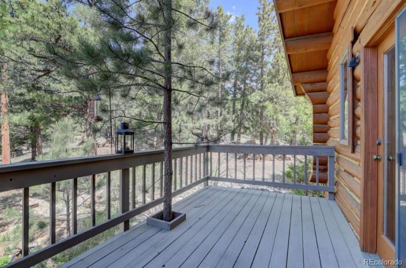 MLS Image #25 for 144  nova drive,pine, Colorado