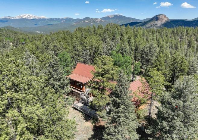 MLS Image #30 for 144  nova drive,pine, Colorado