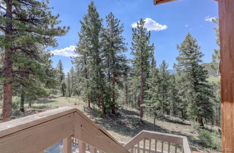 MLS Image #32 for 144  nova drive,pine, Colorado