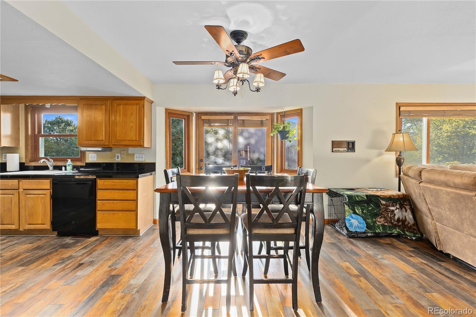 MLS Image #23 for 4825  shadow ridge road,castle rock, Colorado