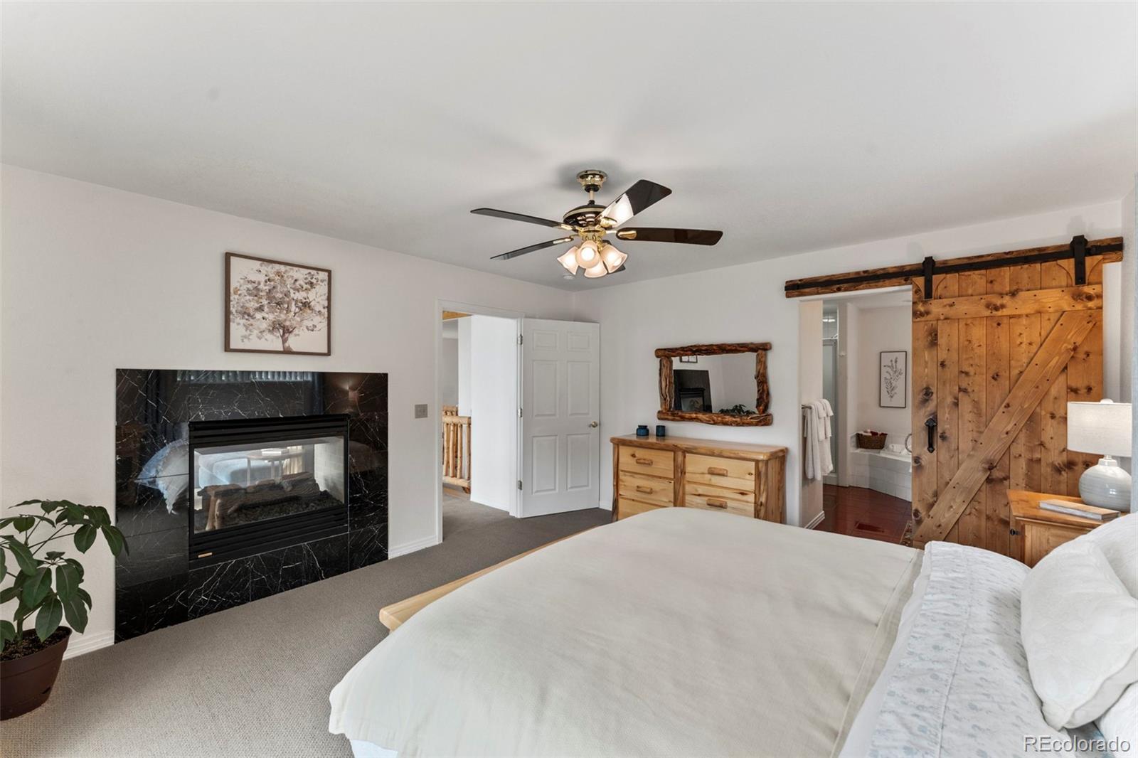 MLS Image #20 for 305  sun valley drive,woodland park, Colorado