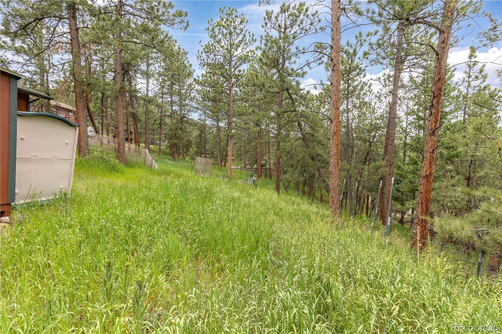 MLS Image #34 for 29723  spruce road,evergreen, Colorado