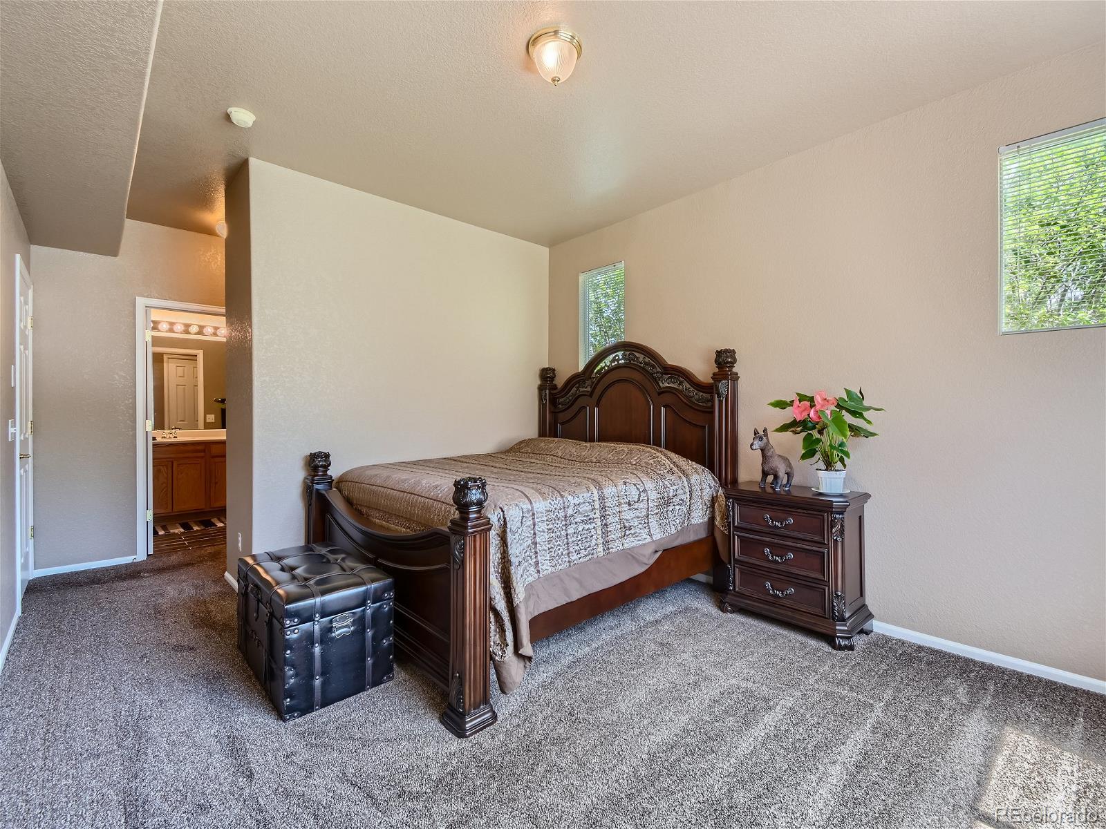 MLS Image #12 for 22920 e roxbury drive e,aurora, Colorado