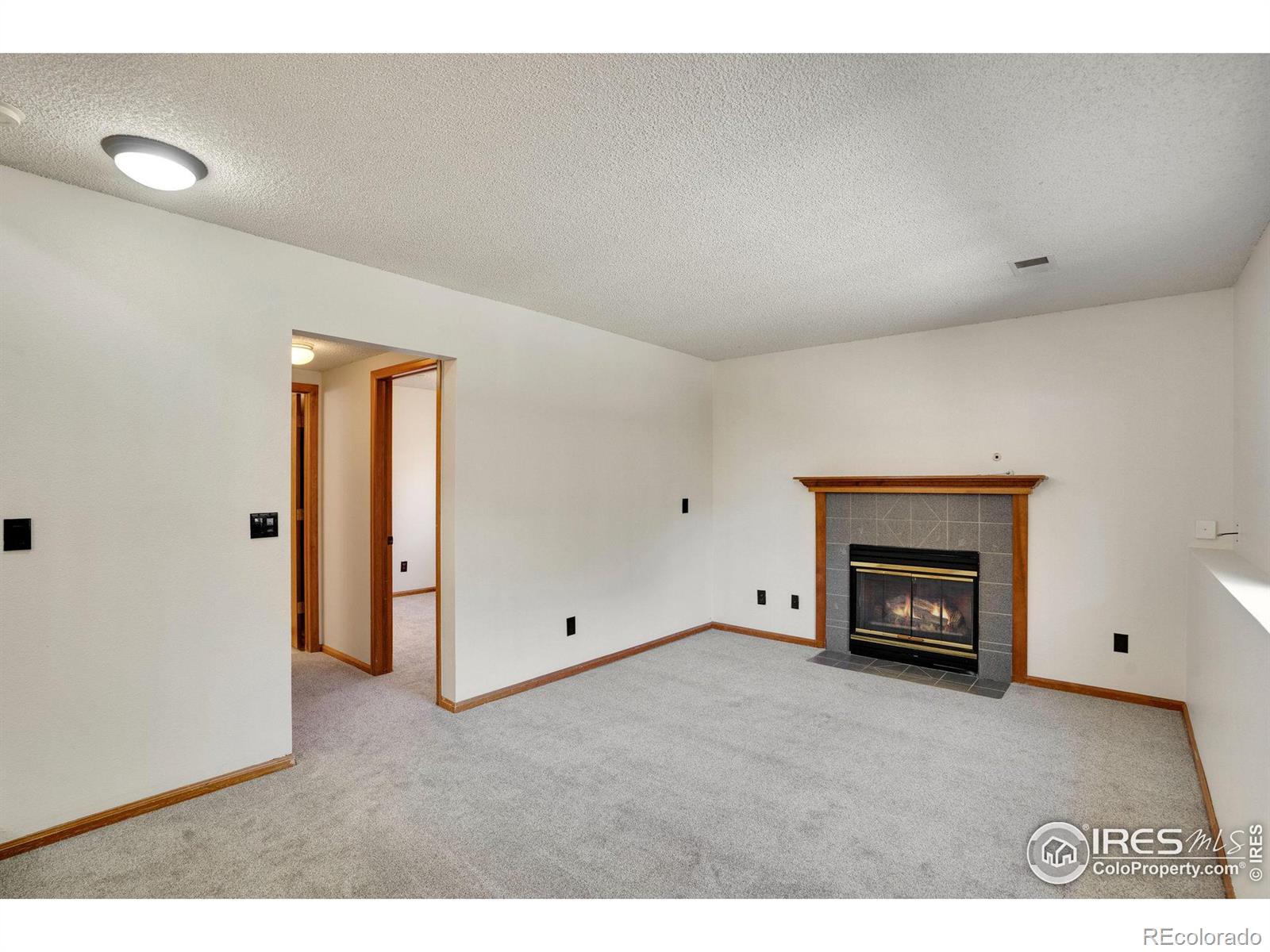 MLS Image #13 for 1479  cattail drive,loveland, Colorado