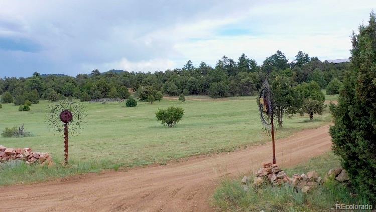 MLS Image #25 for 1310  pronghorn path,texas creek, Colorado