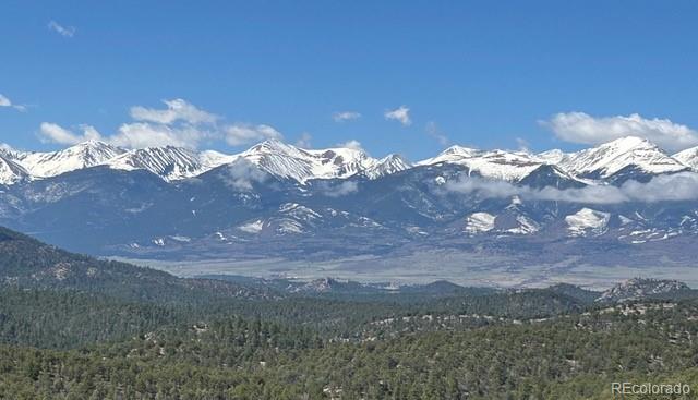 MLS Image #40 for 1310  pronghorn path,texas creek, Colorado