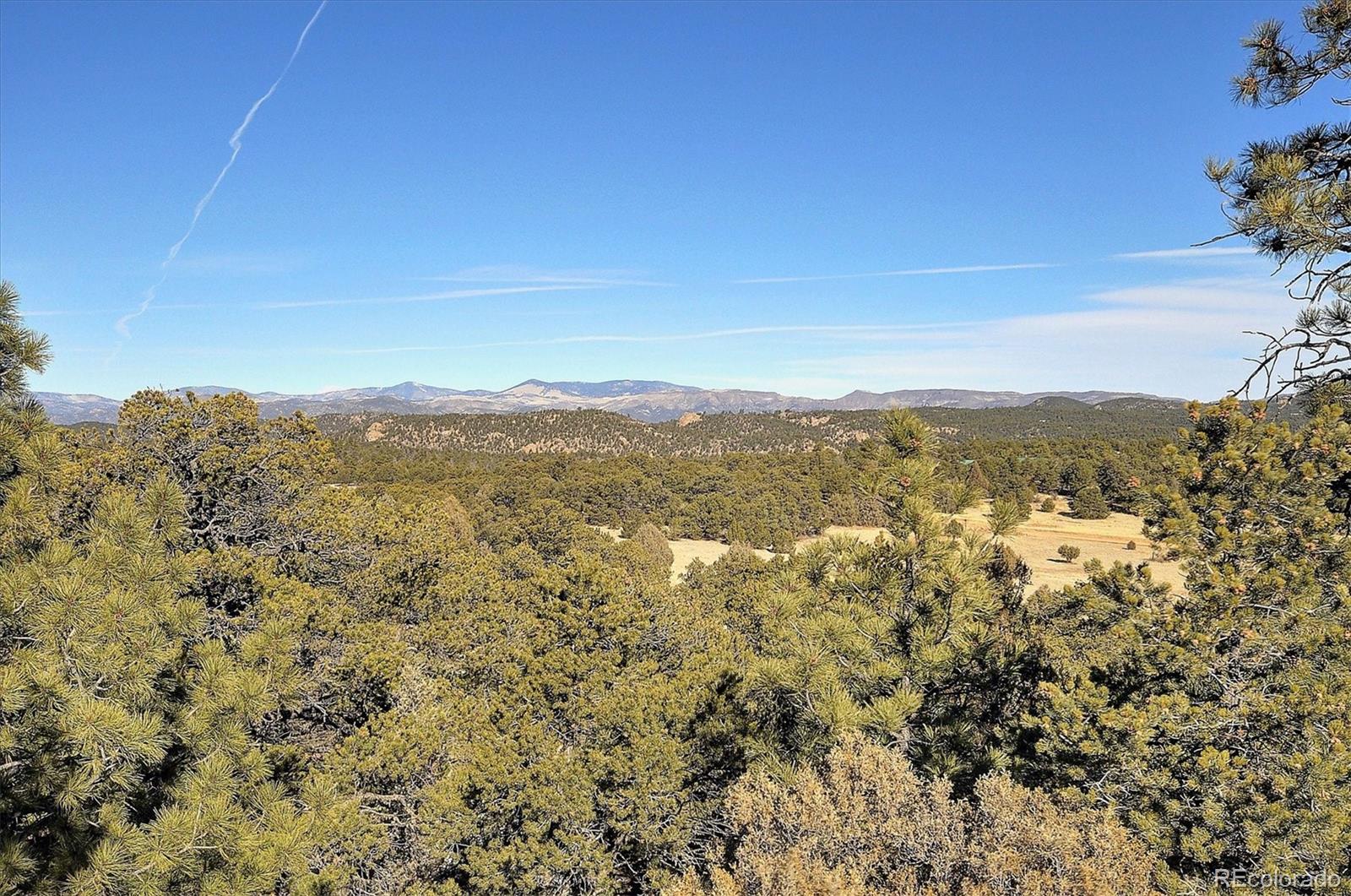 MLS Image #41 for 1310  pronghorn path,texas creek, Colorado