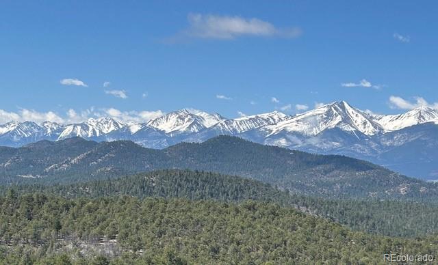 MLS Image #42 for 1310  pronghorn path,texas creek, Colorado